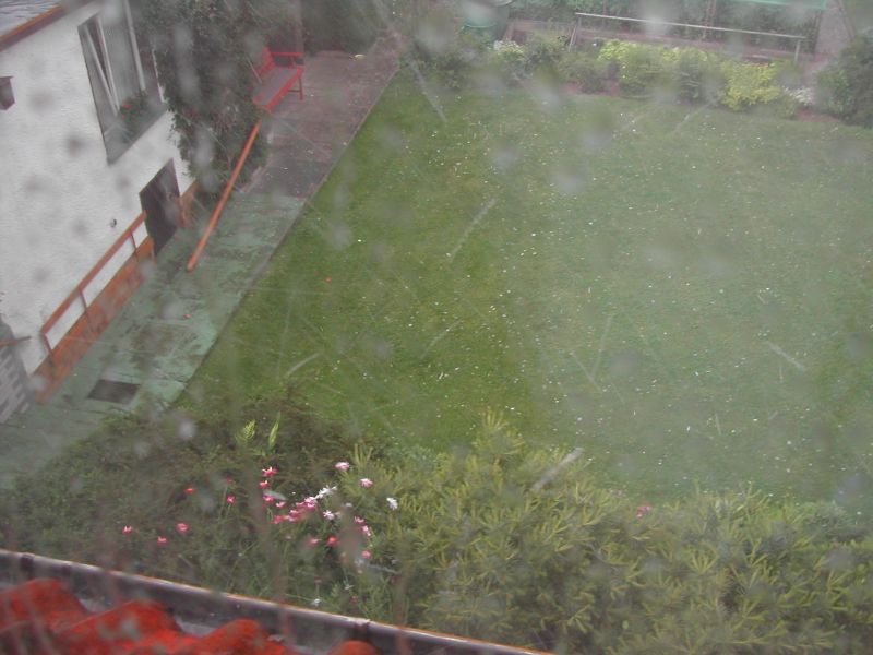 Mit Hagelkörnern übersähter Rasen