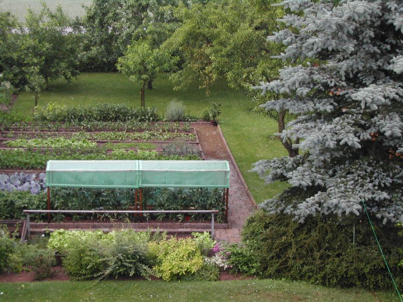 Blick in den Garten nach dem Regen