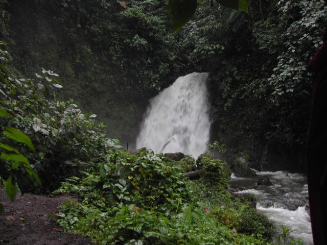 Wasserfall im Regenwald