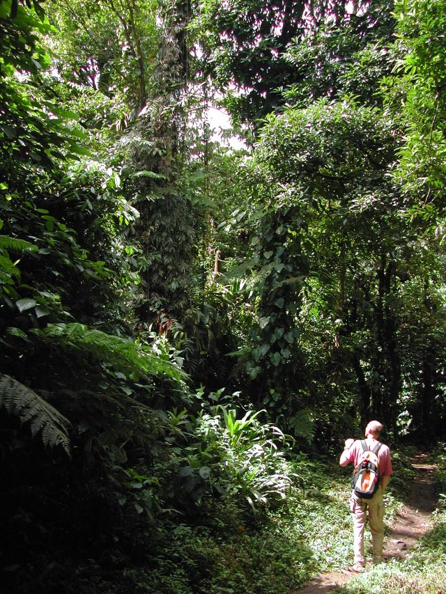 Christoph auf dem Pfad im Regenwald