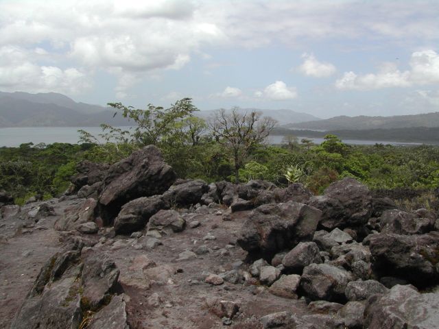 Regenwald und Arenalsee