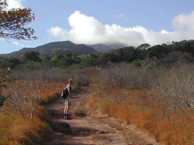 Farbkontraste auf Rückweg