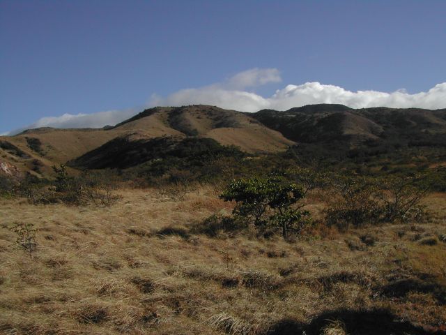Steppe und Ausläufer des Rincon