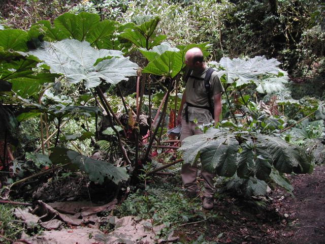 Christoph an Poor Mans Hat